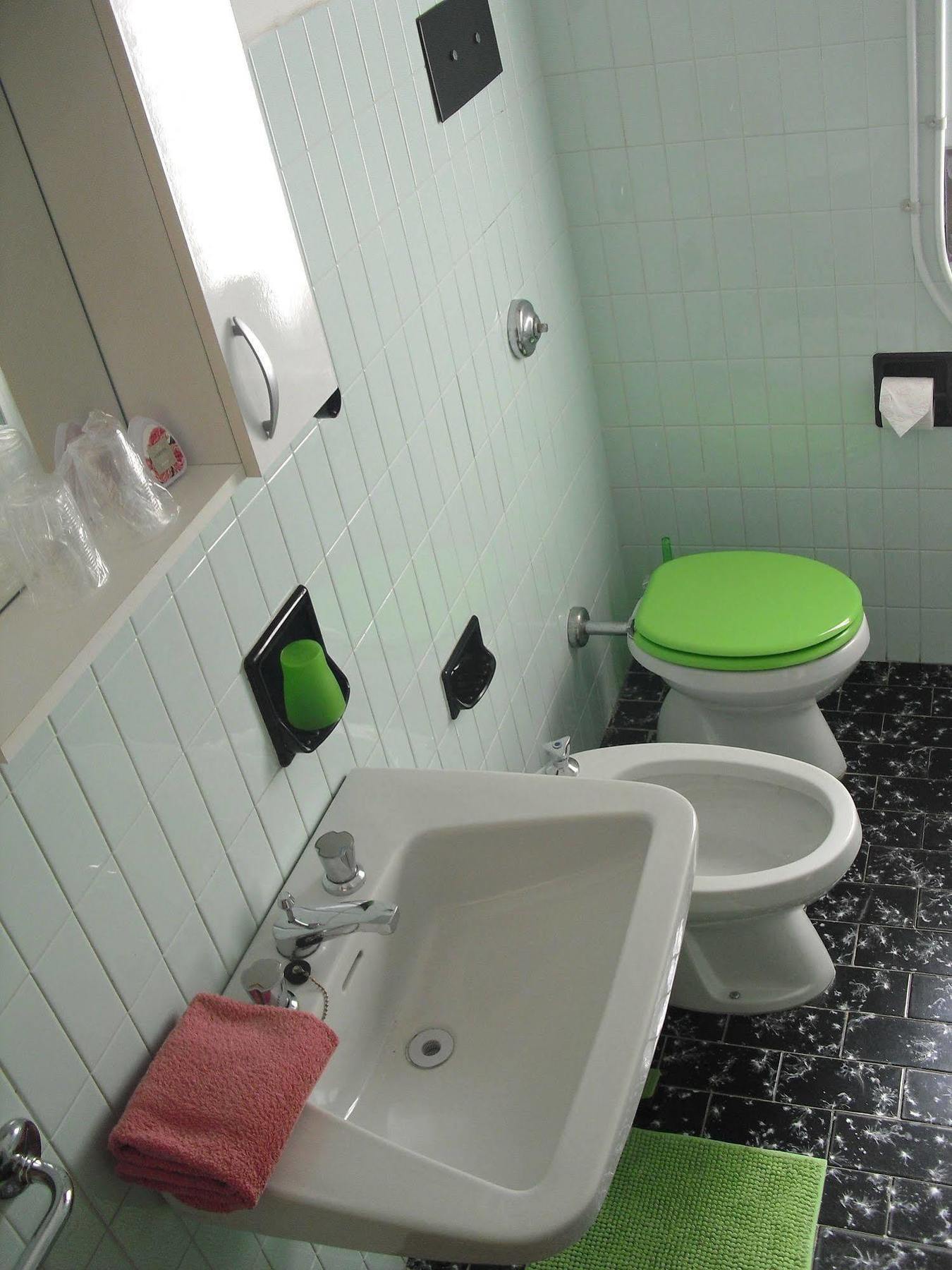 Casa Palmira Apartment Brenzone sul Garda Luaran gambar